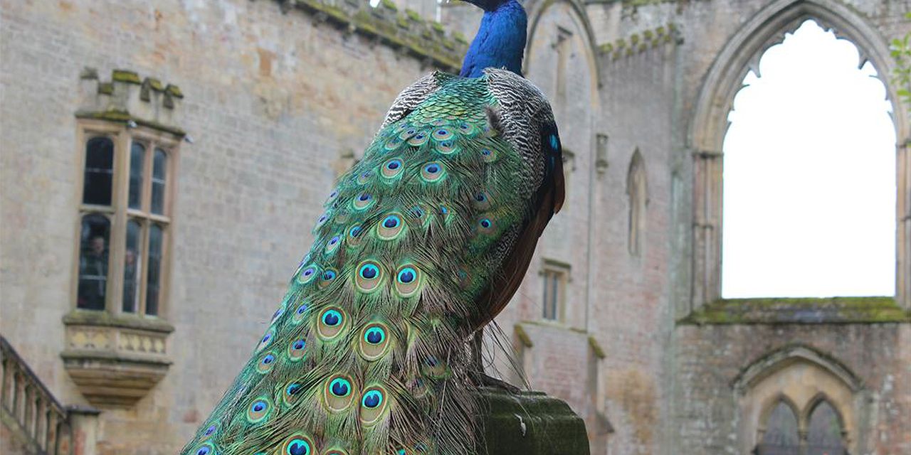 Newstead Abbey