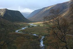Alladale Wilderness Reserve