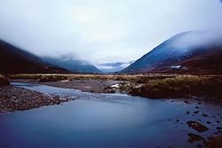 Alladale Wilderness Reserve