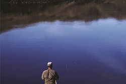 Alladale Wilderness Reserve