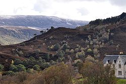 Alladale Wilderness Reserve