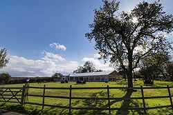 Bordesley Park Farm – Barns and Marquee