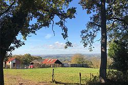 Bowhayes Farm