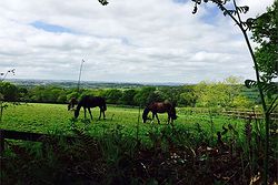 Bowhayes Farm