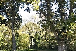 Bowhayes Farm