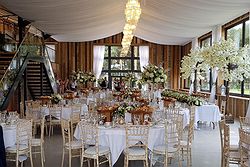 Bunny Hill Weddings