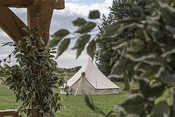 Bunny Hill Weddings