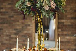 Bunny Hill Weddings