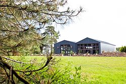 Bunny Hill Weddings