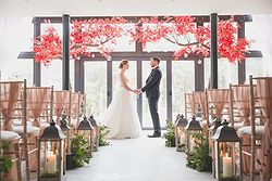 Bunny Hill Weddings