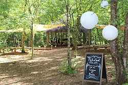 Cheshire Woodland Weddings