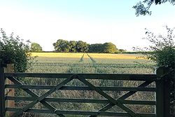 Crown Inn Roecliffe