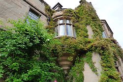 Ellingham Hall