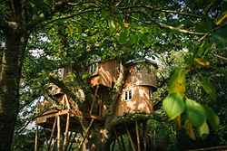 Fox & Hounds Country Hotel and Treetops Treehouse