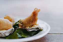 HIX Oyster and Fish House