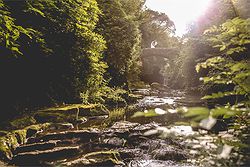 Jesmond Dene House