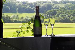Leadenham Polo Club