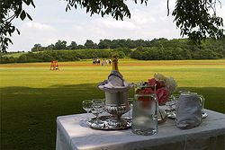 Leadenham Polo Club