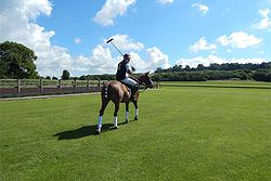 Leadenham Polo Club
