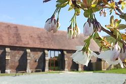 Long Furlong Barn
