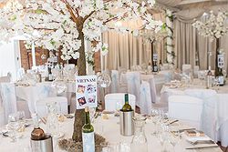 Port Lympne Hotel & Reserve