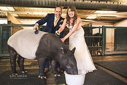 Port Lympne Hotel & Reserve