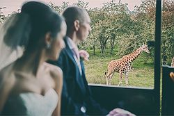 Port Lympne Hotel & Reserve
