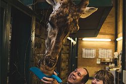 Port Lympne Hotel & Reserve