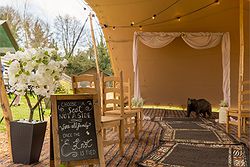 Port Lympne Hotel & Reserve