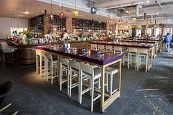 The Anthologist