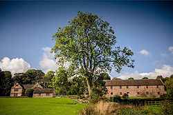 The Ashes Barns and Country House