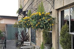 The George