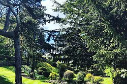 The Headland Hotel & Spa