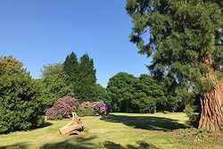 The Manor Gardens - Birling Estate