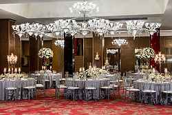 radisson fair hotel venues