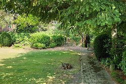 The Old House