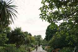 The Ventnor Botanic Garden