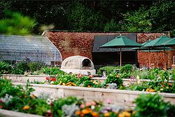 Thorpe Garden