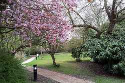 Wherstead Park