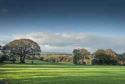 Woodbury Park Hotel & Golf Club