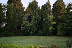 Woodstock Weddings and Events