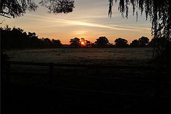 Woodstock Weddings and Events