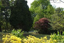 Yew Lodge Country House