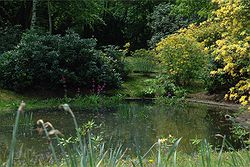 Yew Lodge Country House