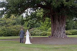 Yew Lodge Country House