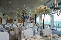 York Racecourse