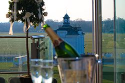 York Racecourse